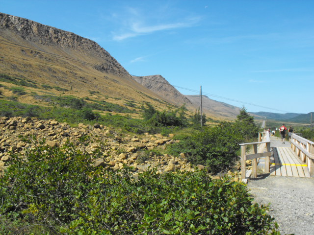 NFLD_drive_to_and-viking_settlement 121.jpg